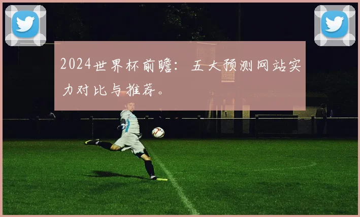 2024世界杯前瞻：五大预测网站实力对比与推荐。